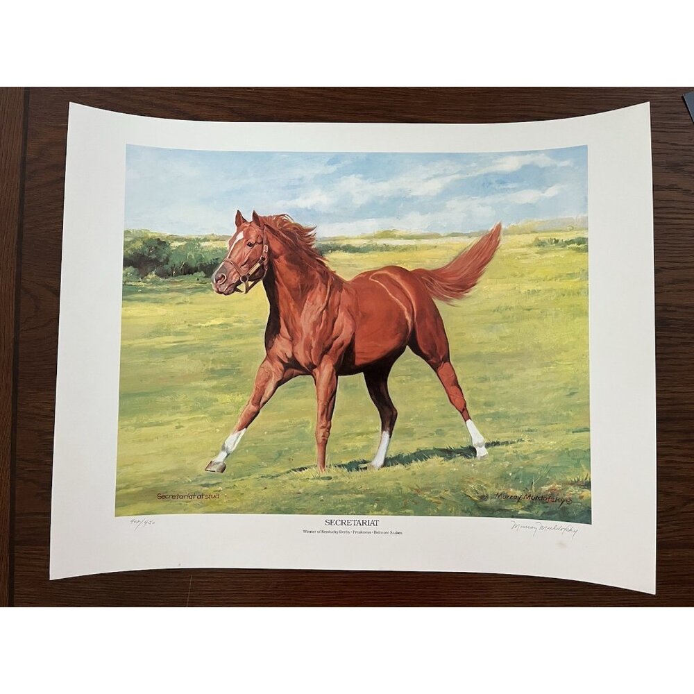 Secretariat Kentucky Derby Racehorse Lithograph Art Artist Signed Triple Crown - Picture 2 of 8